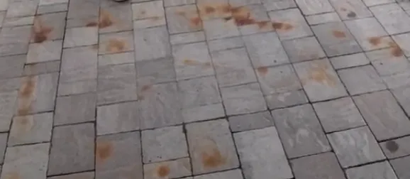 Stain Removal Services image