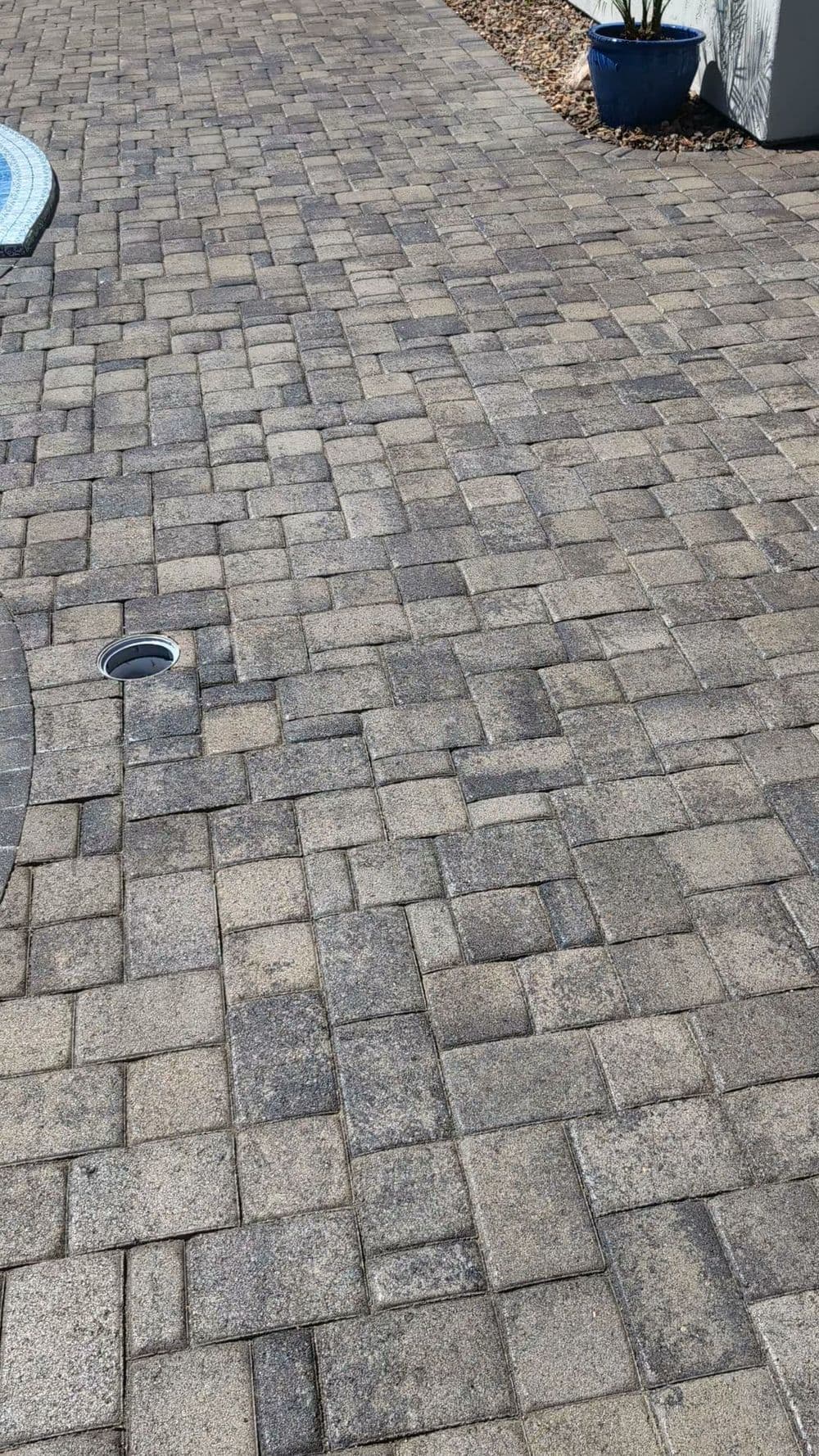 Paved driveway with patterned stone bricks and circular drain, enhancing outdoor aesthetics.