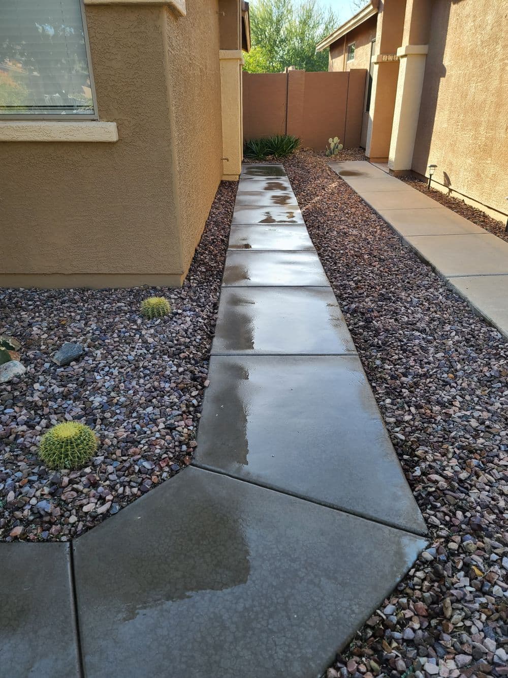 Walkway with wet concrete and gravel landscaping, featuring small cacti and desert plants.