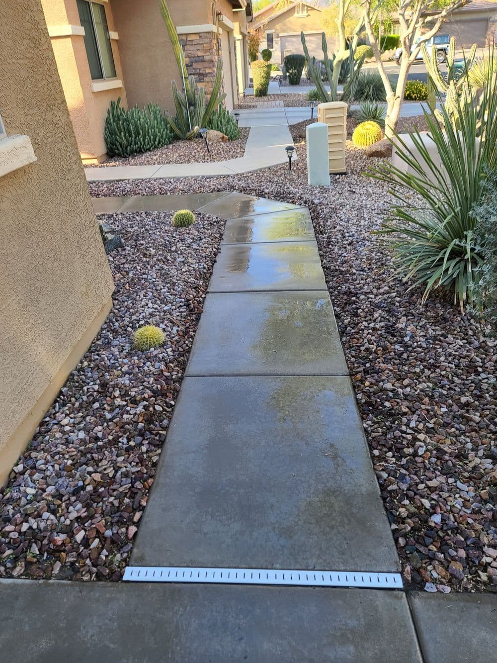 Clean concrete walkway bordered by desert landscaping and cacti in a residential area.