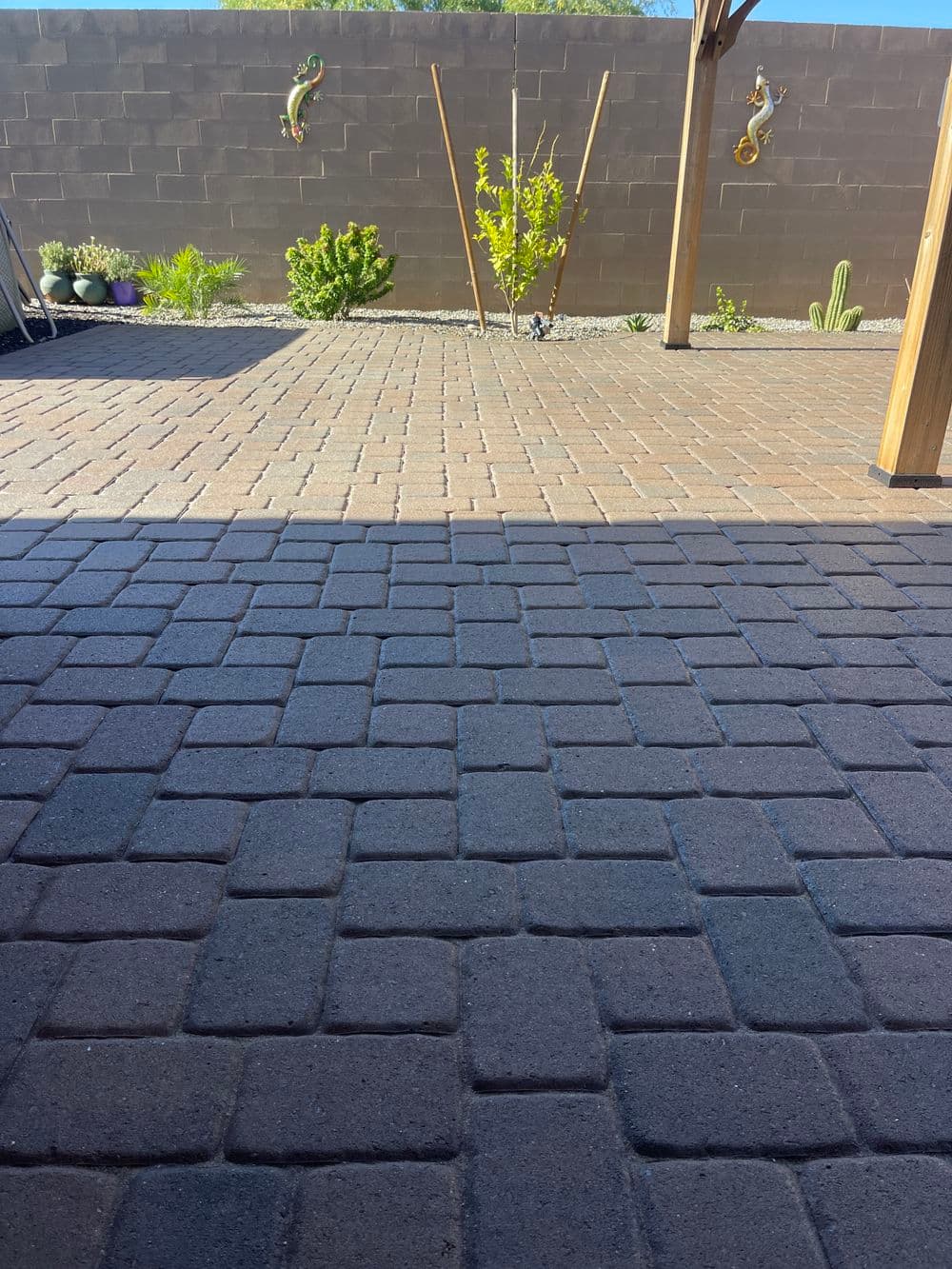 Patio view featuring paver stones, desert plants, and decorative wall accents.