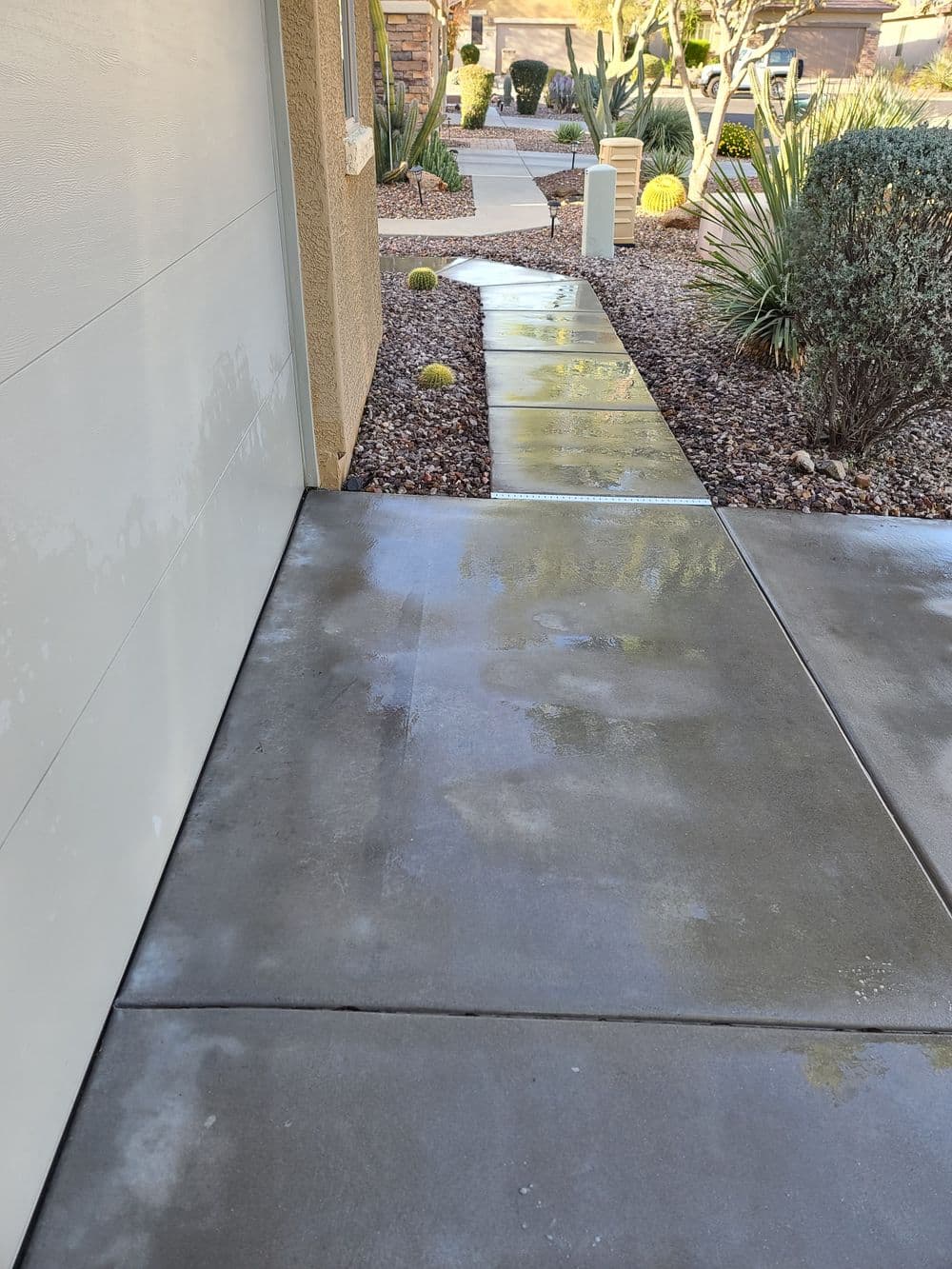 Wet concrete walkway leading to a home, surrounded by desert landscaping and shrubs.